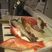 Picture 015